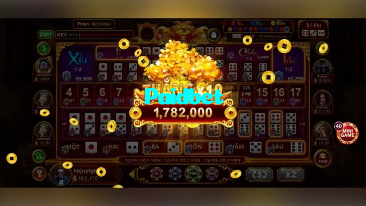 Paidbet