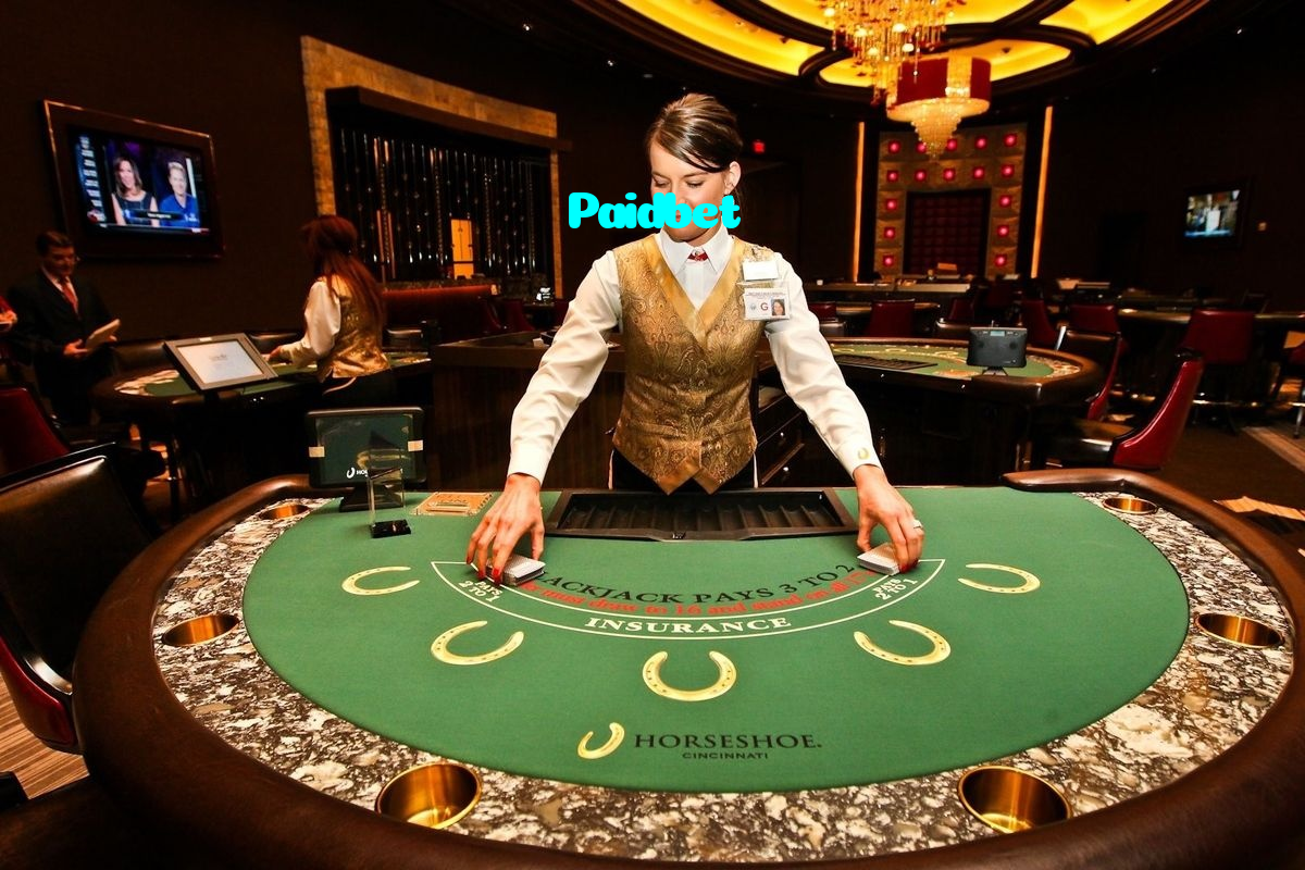 Paidbet